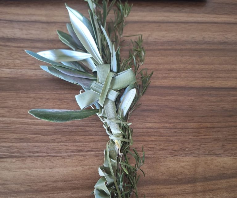 DOMINGO DE RAMOS EN VILLA INDEPENDENCIA